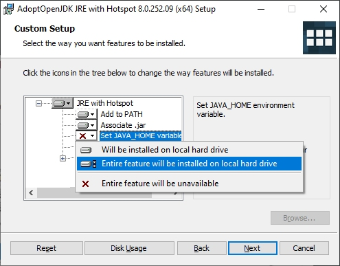 Java 21 installer with "Set JAVA_HOME variable" and "JavaSoft (Oracle) registry keys" highlighted